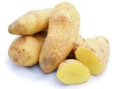 Spunta