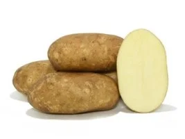 Kennebek